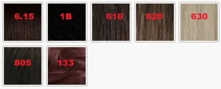 Peruca WLW1453 Low Cost Casa Do Cabelo - Image 2