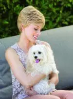 Dixie - AMORE COLLECTION 2017/18 - Capel-lo - Image 3
