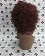 Joana (Low Coast) - Casa do cabelo - Image 3