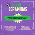Shampoo Desamarelador Brancos e Grisalhos 250ml - Image 4